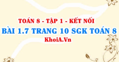 Bài 1.7 trang 10 SGK Toán 8 tập 1 Kết nối tri thức